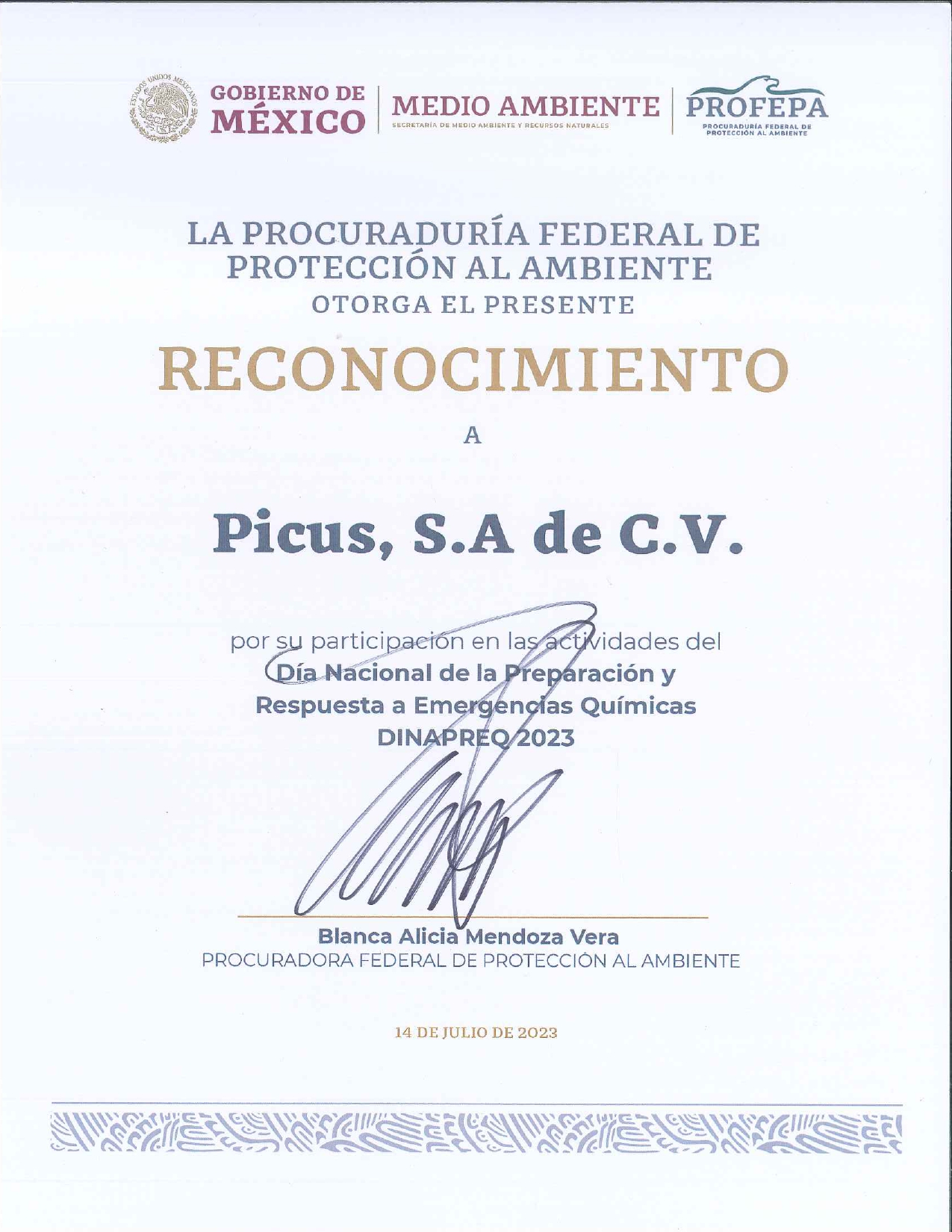 Reconocimiento-Picus