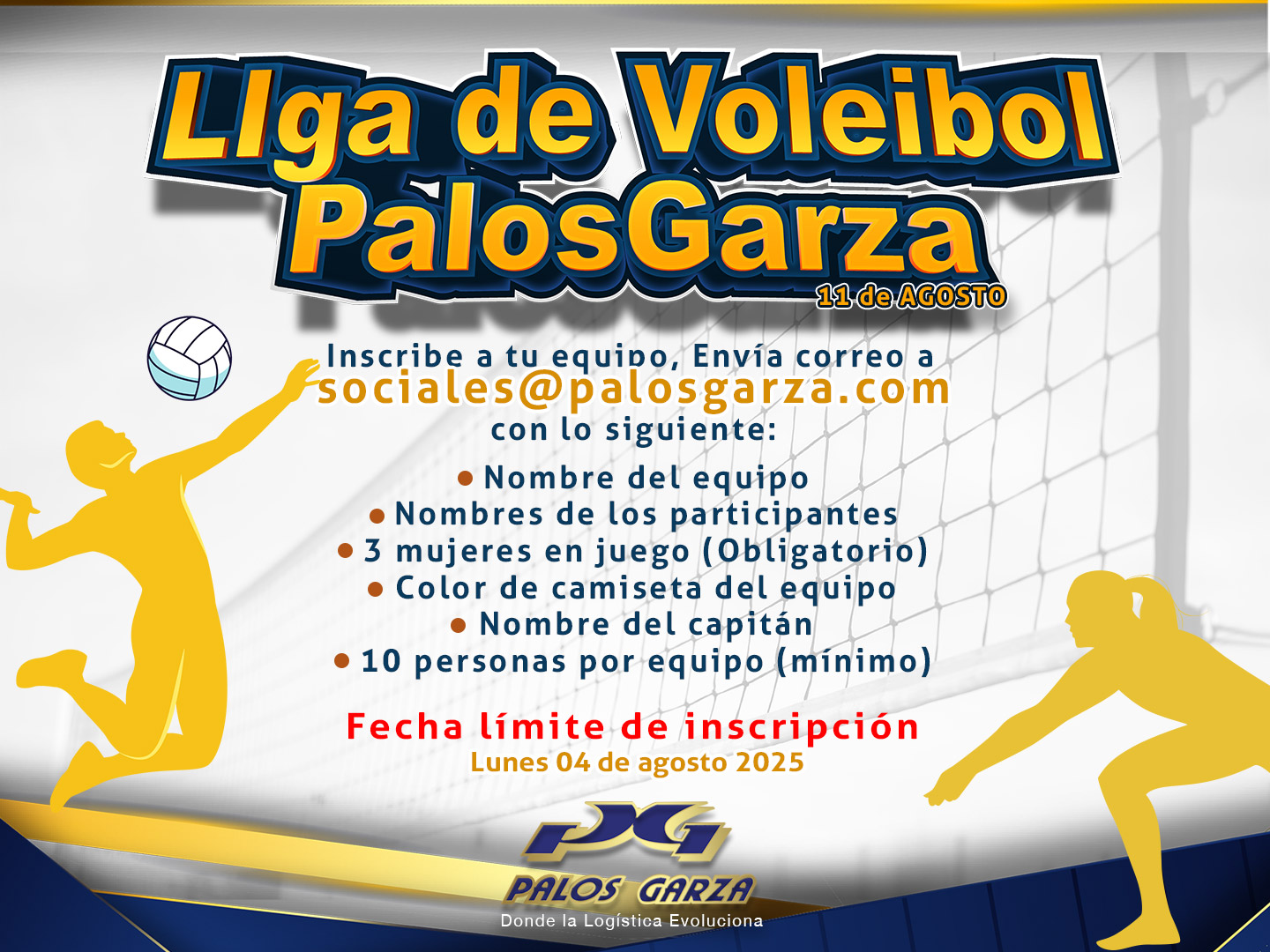 Liga de Voleibol  PG